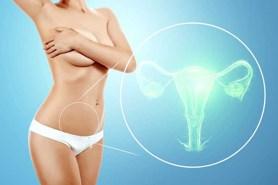 A hologram of the female organ of the uterus on the background of the female body of a young girl. Medical examination, women's consultation, ultrasound, gynecology, obstetrics, pregnancy