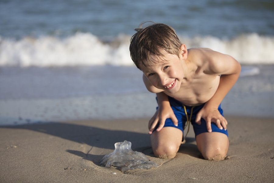 A boy near the sea examines a jellyfish. Child resting on the beach