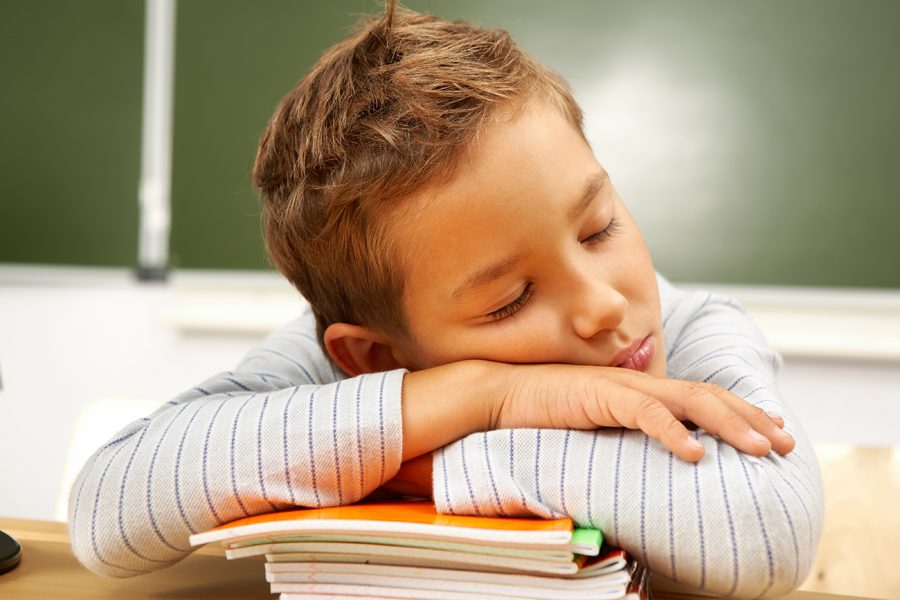 Portrait of cute lad sleeping with his head on copybooks in classroom