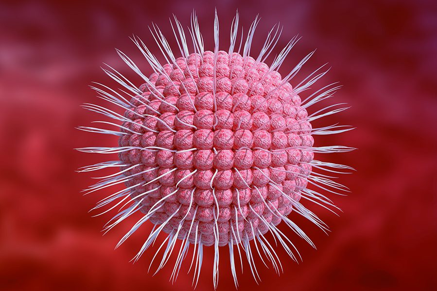 varicella zoster virus is the cause of herpes in humans. Microscopic magnification. 3D rendering